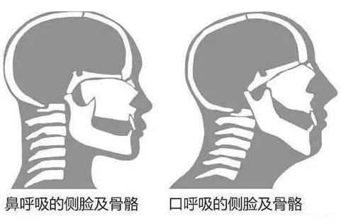 &#20061;&#24030;&#25163;&#26426;&#29256;&#30331;&#24405;&#20837;&#21475;&#45;&#20061;&#24030;&#65288;&#20013;&#22269;&#65289;&#23448;&#26041;&#32593;&#31449;
