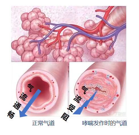 &#20061;&#24030;&#25163;&#26426;&#29256;&#30331;&#24405;&#20837;&#21475;&#45;&#20061;&#24030;&#65288;&#20013;&#22269;&#65289;&#23448;&#26041;&#32593;&#31449;