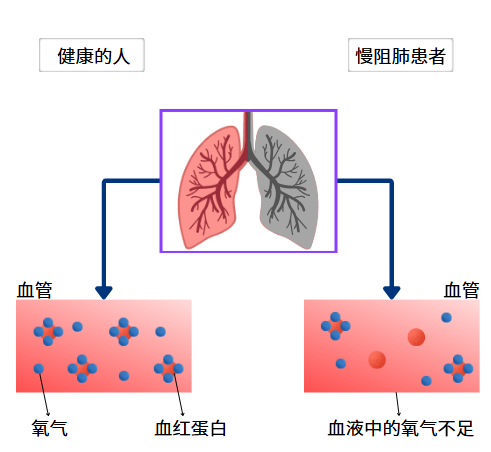 &#20061;&#24030;&#25163;&#26426;&#29256;&#30331;&#24405;&#20837;&#21475;&#45;&#20061;&#24030;&#65288;&#20013;&#22269;&#65289;&#23448;&#26041;&#32593;&#31449;